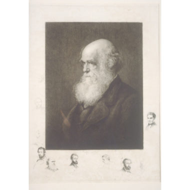 Charles Darwin, F.R.S.