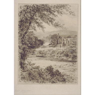 The Wharfe: Bolton Abbey